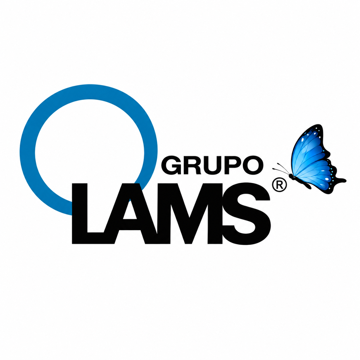 Grupo LAMS